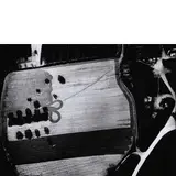 Senigallia 1925 - 2000 / Presa di coscienza sulla natura, anni '90 by Mario Giacomelli, Stampa fotografica, offered Jun 2019