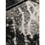 Mario Giacomelli, Senigallia 1925 - 2000 / Ho la testa piena mamma, 1985-87