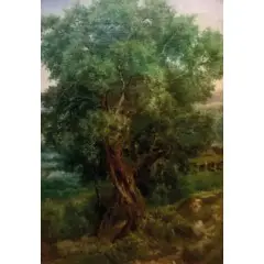 Josef Magnus Stack, Senza titolo