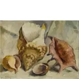 Antonio Maria Nardi, Ostellato, 1897 - Bologna, 1973 / Natura morta con conchiglie / Firmato A M Nardi e datato 1972 in basso a sinistra, oil on canvas