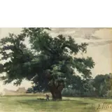 Torino 1845 - Roma 1924 / Il Quercione delle Cascine a Firenze / Firmato F Petiti in basso a destra, iscrizione e data 1870 a sinistra by Filiberto Petiti, watercolour on paper, offered Dec 2019