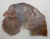 Hubert Scheibl, Untitled, Oil on Paper