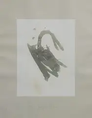 Schwan by Joseph Beuys, Lithograph and Aquatint, offered Nov 2025