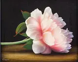 Quietude by Alain Geneau, Oil on Canvas, offered Dec 2025