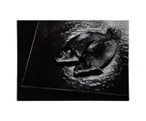 Study of Fish by Adolph Lazi, Photograph, offered Jan 2026