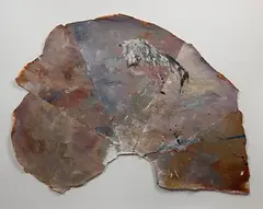 Hubert Scheibl, Untitled, Oil on Paper