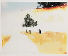 Curtis Mann, Holding Tree Top #2, Mixed Media