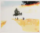 Holding Tree Top #2 by Curtis Mann, Mixed Media, offered Aug 2026