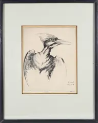 Pileated Woodpecker by Henry Emerson Tuttle, Etching, offered Jul 2025