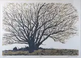 Willow by Joe Ardourel, circa 1969, Woodcut, offered Apr 2025