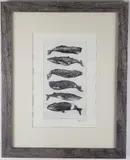 David Lazarus, 6 Whales, Etching