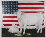 Virginia Greenleaf, Cow, Corn and American Flag Sulgrave Manor, Acrylic on Canvas
