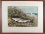 Striped Bass by Samuel A. Kilbourne, Watercolor Gouache on Paper, offered Aug 2025