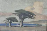 Ancient Monterey Cypress Trees by Douglass Thomas Fraser, circa 1930, Oil on Artist Board, offered Aug 2025