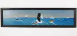 Charlie Munro, Breaching Whale, circa 2005, Oil on Board