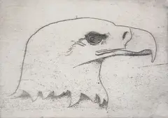 Bald Eagle by Limited Edition, circa 1970, Etching, offered Apr 2024