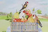 E.B. Watts, Woodpeckers on a Basket of Fruit,, Acrylic on Paper