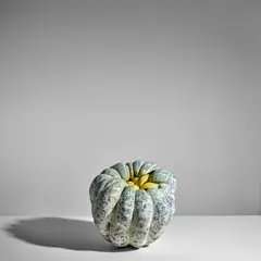Chieko Katsumata, (Untitled) Biomorphic Sculpture, glazed stoneware encrusted with chamotte (crushed fired porcelain)
