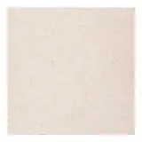 Tom Sachs, Alpine Jr.