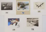Richard Evett Bishop, Federal Duck Stamp Design, drypoint, 1936