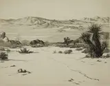 Cornelius Botke, The Desert, etching, estate