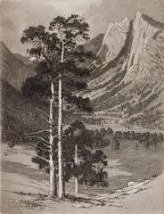 George Elbert Burr, Black Canyon- Estes Park- Colo, etching