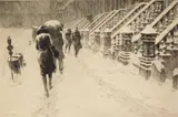Martin Lewis, Stoops in Snow