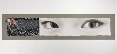 Daniel Kelly, Eye to Eye, lithograph, woodblock and hand-coloring on Japanese mulberry paper, 2006
