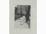 Giovanni Fattori, View of Cascine, 1825, etching