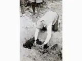 Joseph Beuys, Piantagione Coco de Mer ''Conquille Blanque'' Praslin Seychelles 1980, 1921, vintage gelatin-silver print on resin-coated paper Photo by Buby Durini With credit stamp on reverse