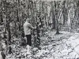 Joseph Beuys, Operazione Difesa della Natura - La Digue Seychelles 1980, 1921, vintage gelatin-silver print on resin-coated paper Photo by Buby Durini With credit stamp on reverse