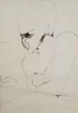 Fernando Farulli, Figure