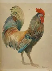 Romeo Costetti, Gallo