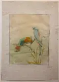 Romeo Costetti, Studio di pappagalli