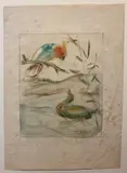 Romeo Costetti, Studio di pappagallo e anatra