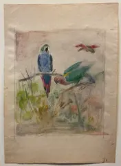Studio di pappagalli by Romeo Costetti, offered Sep 2020