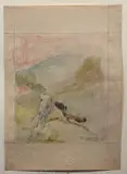 Romeo Costetti, Studio di piccioni