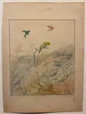 Romeo Costetti, Studio di fiori e pappagalli