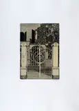 Gianni Cacciarini, Senza titolo