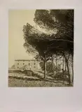 Rodolfo Ceccotti, Senza titolo