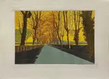 Daniel Lang, November road
