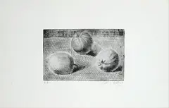 Arance e limoni by Silvio Loffredo, offered Sep 2020