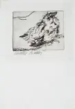 Walter Piacesi, Passerotto