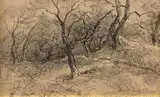 Pompeo Mariani, Trees