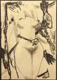 Fabio Mauri, Naked