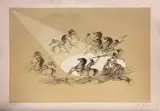 Fabrizio Clerici, Senza titolo
