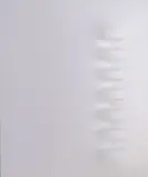 Stefano De Carli, Senza titolo, autentica on foto