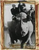 Peter Beard, Rhino Roping with Ken Randall in Darajani