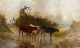 William Perring Hollyer, Buoi