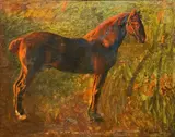 Plinio Nomellini, Cavallo